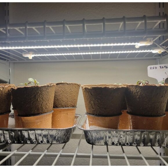 Plant Grow Light Full Spectrum LED Strip For Houseplants Gardening Seedling 2 Pk - Picture 7 of 7